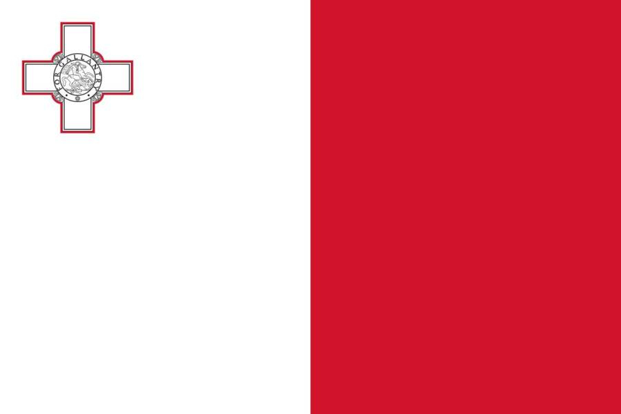 Flag of Malta.svg Orbit Medico